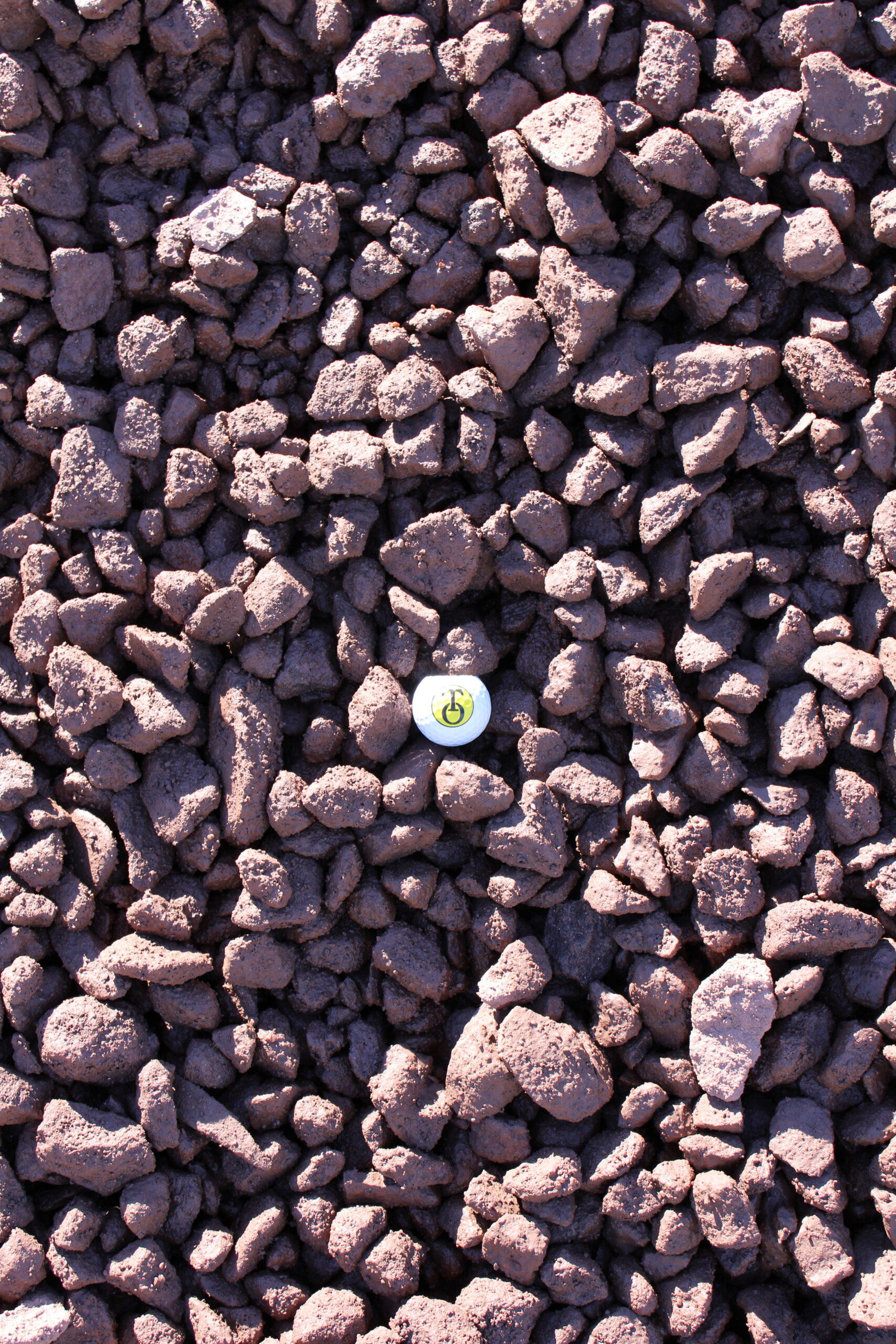 Burgundy Stone close-up