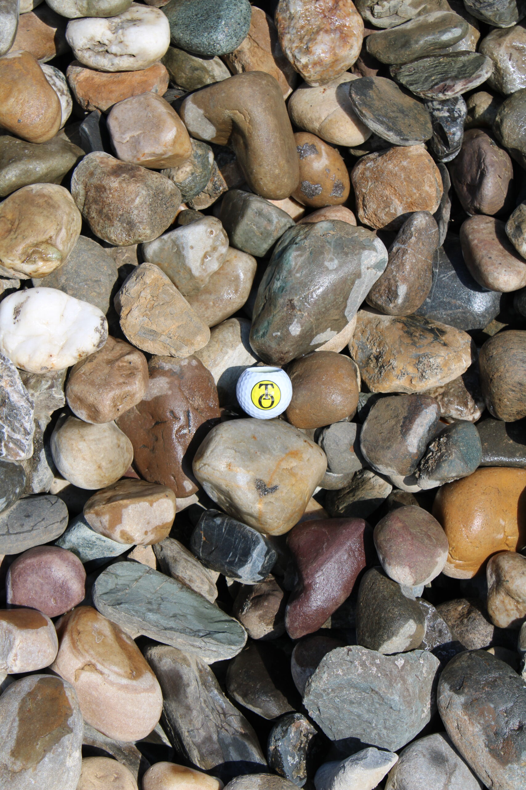 River Rounds Stone Chicopee MA