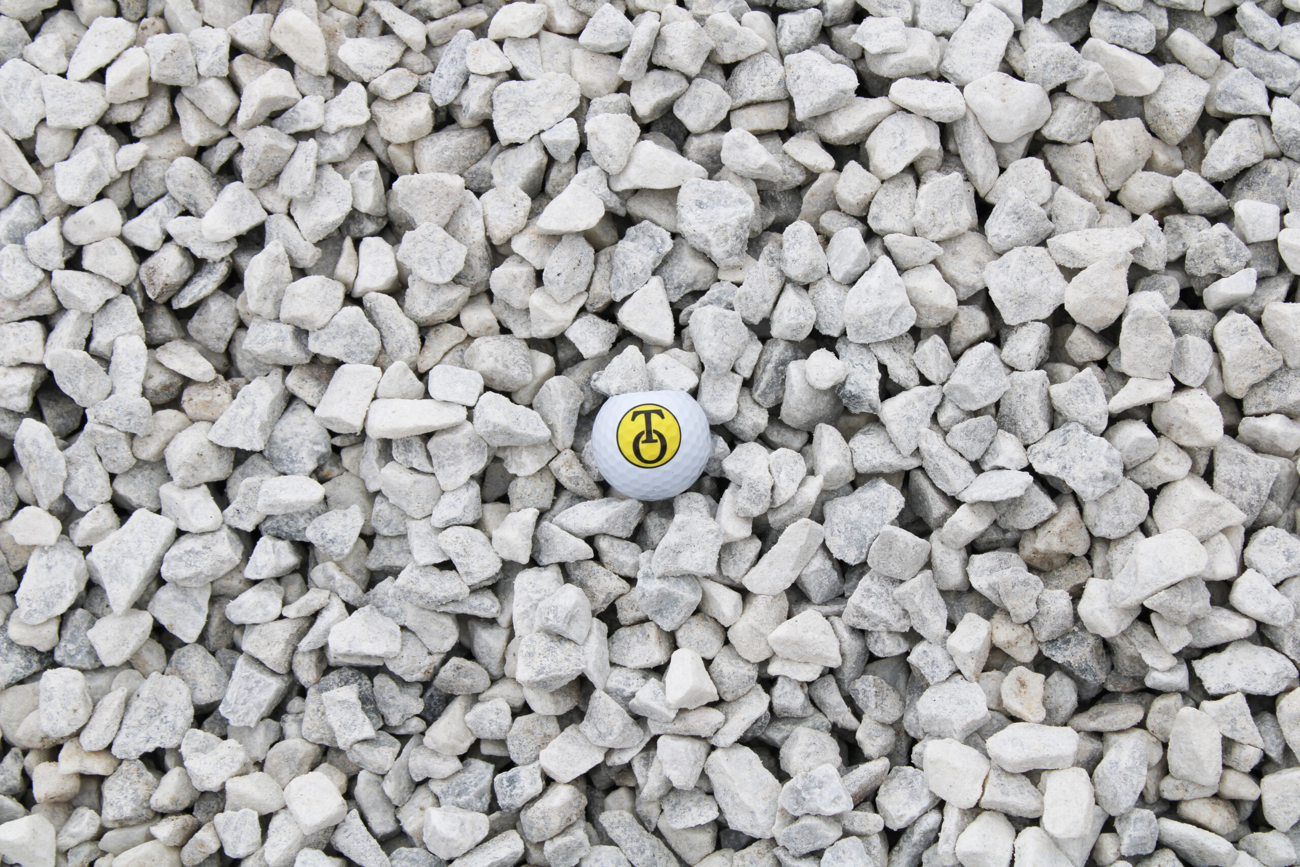 Marble White Stone detail