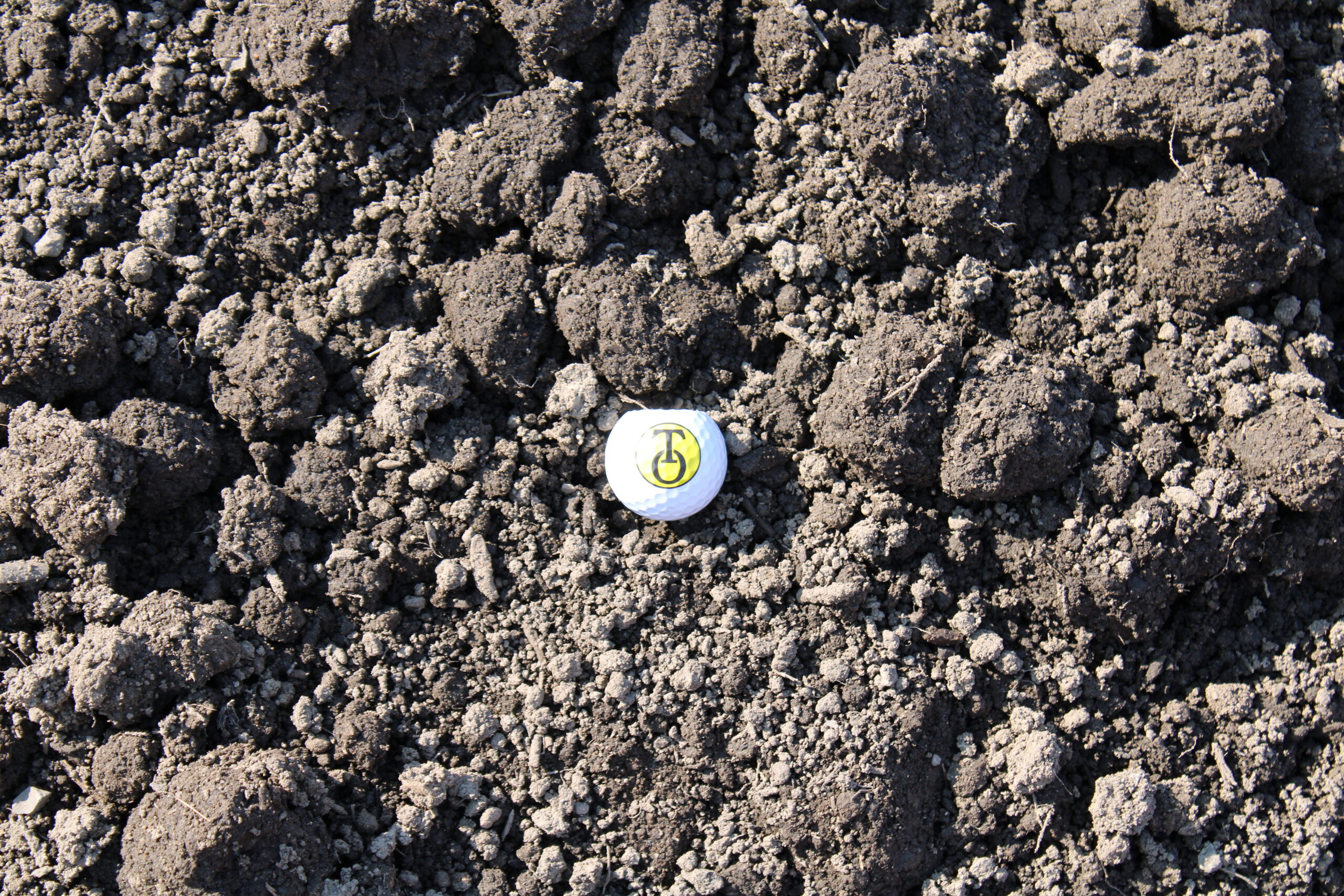 Premium Grade Topsoil close up