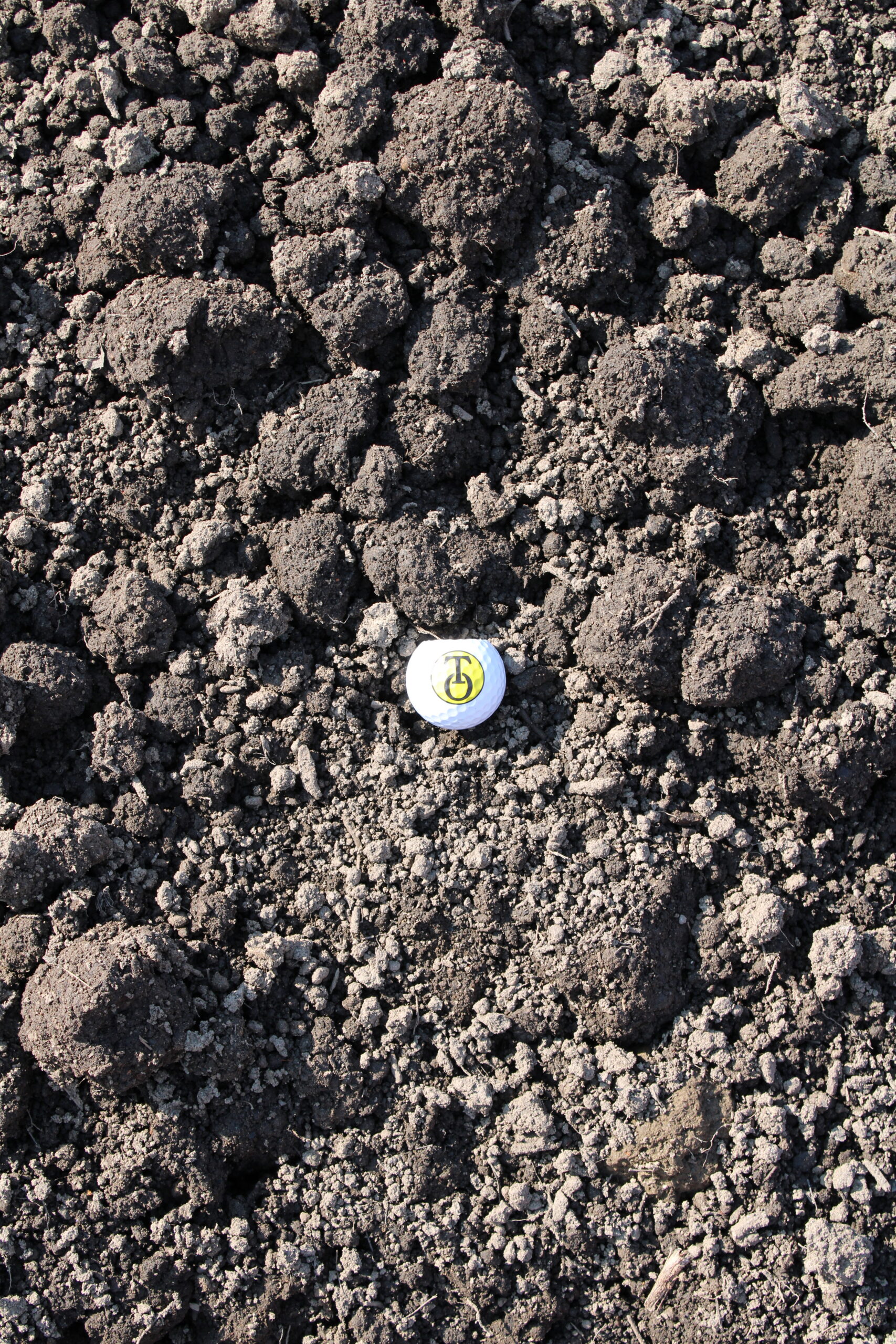 Premium Grade Topsoil Close up