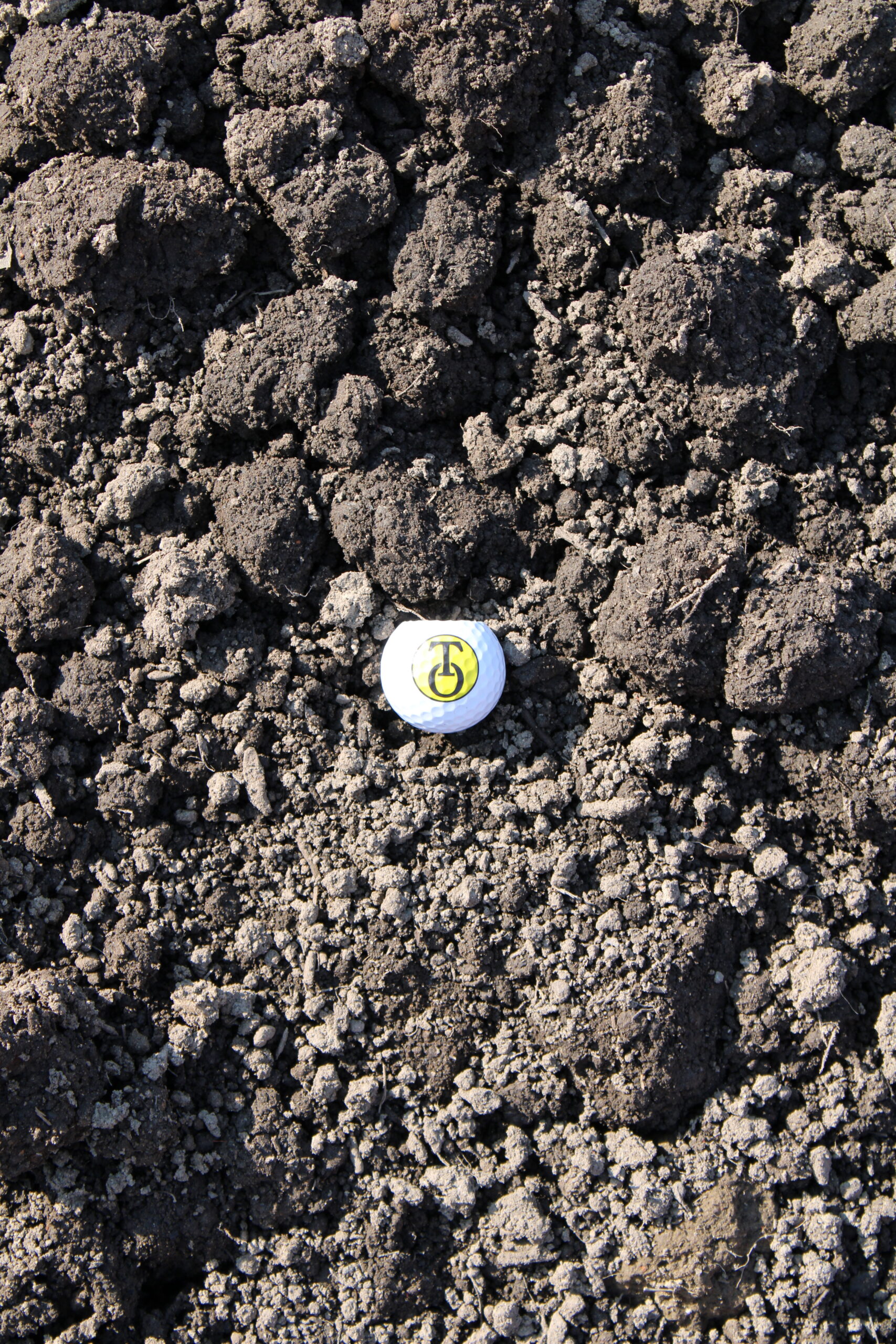 Premium Grade Topsoil installed in landscape bed Chicopee MA