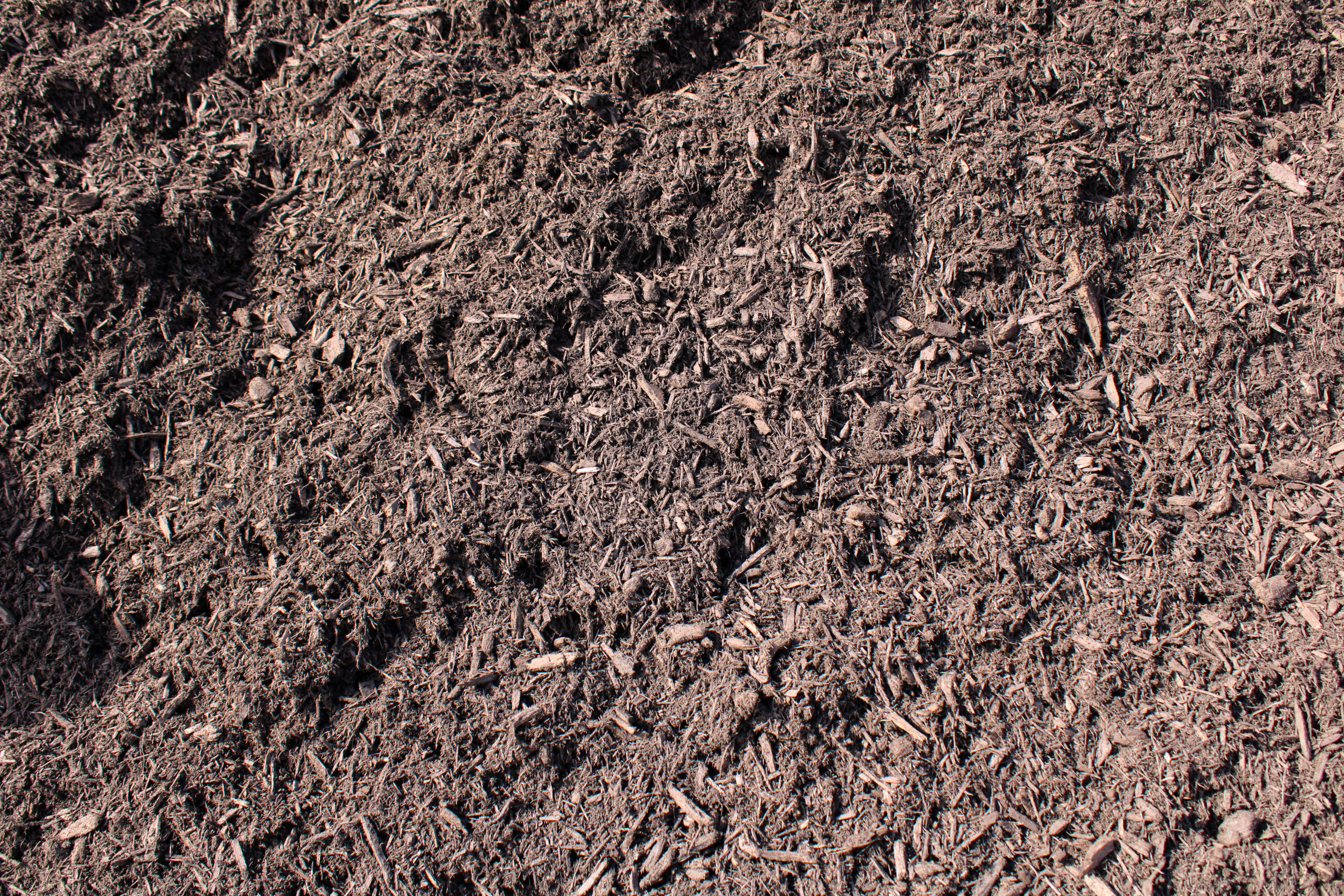 Enhanced Forest Blend Mulch Chicopee MA