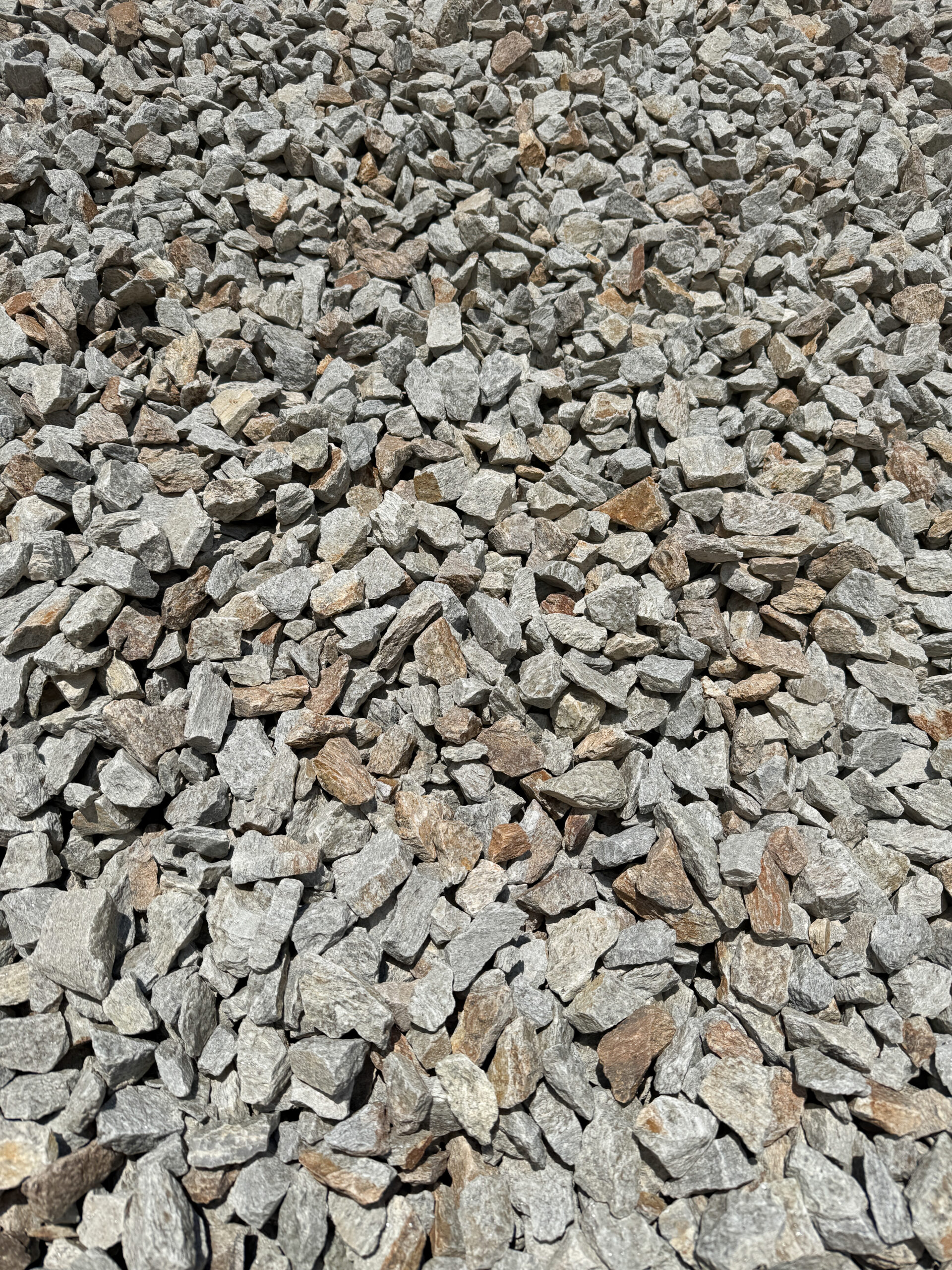Ashwerth close-up