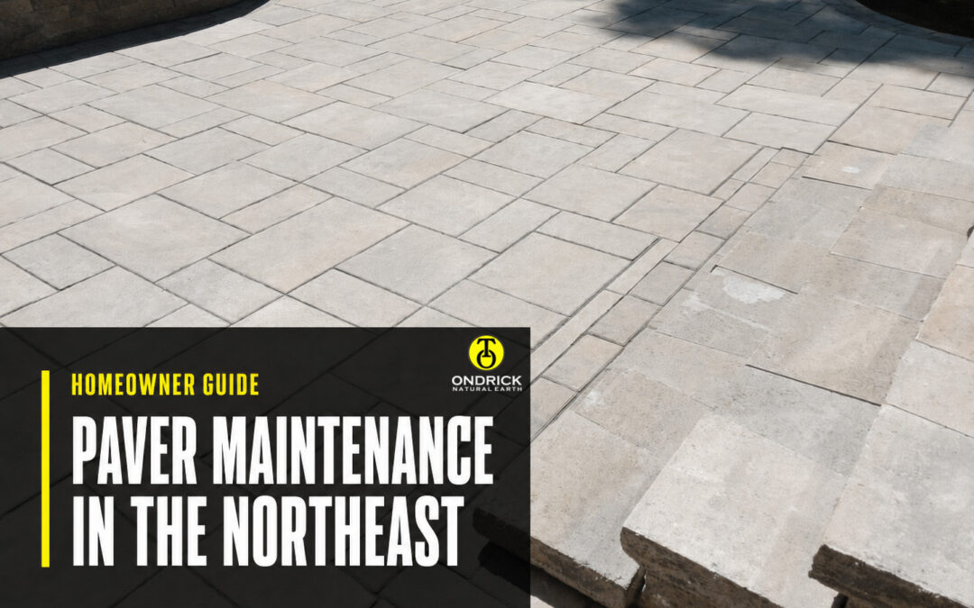 Paver Maintenance in the Northeast